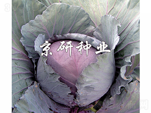 �ϸ�2̖-���{�N��-���зN�I(y��)