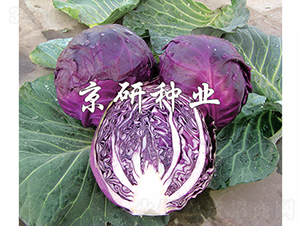 �ϸ�3̖-���{�N��-���зN�I(y��)