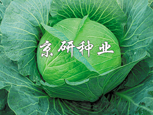 ���16̖-���{�N��-���зN�I(y��)