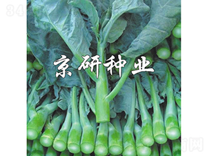 ���G��1̖-���{�N��-���зN�I(y��)