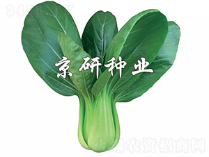 ����4̖-�Ͳ˷N��-���зN�I(y��)