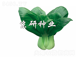 ����5̖-�Ͳ˷N��-���зN�I(y��)