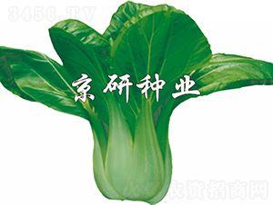 ���G7̖-�Ͳ˷N��-���зN�I(y��)