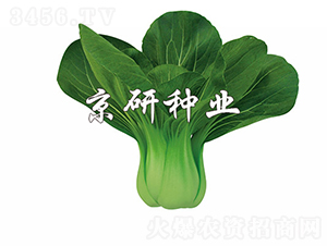 ���G1̖-�Ͳ˷N��-���зN�I(y��)