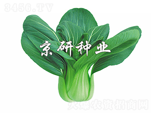 ���G5̖-�Ͳ˷N��-���зN�I(y��)