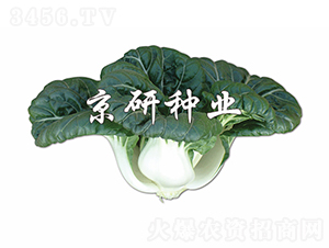 ����1̖-�Ͳ˷N��-���зN�I(y��)