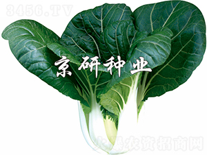 ���к��~3̖-�Ͳ˷N��-���зN�I(y��)