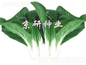 ���к��~5̖-�Ͳ˷N��-���зN�I(y��)