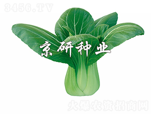 ����2̖-�Ͳ˷N��-���зN�I(y��)