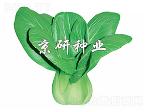 ����4̖-�Ͳ˷N��-���зN�I(y��)