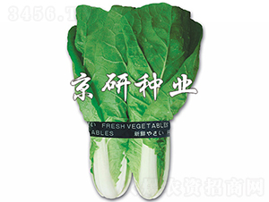 ���п��-�ײ˷N��-���зN�I(y��)