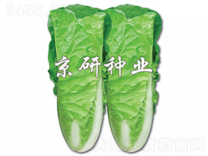 ���п��2̖-�ײ˷N��-���зN�I(y��)