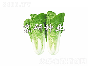 ���п��4̖-�ײ˷N��-���зN�I(y��)