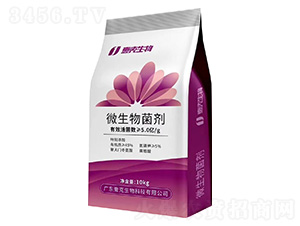 ΢�������-Ҽ������