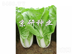 ���п��5̖-�ײ˷N��-���зN�I(y��)