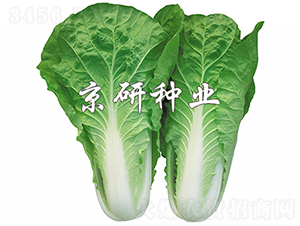 ���п��6̖-�ײ˷N��-���зN�I(y��)