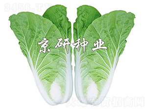 ���п��8̖-�ײ˷N��-���зN�I(y��)