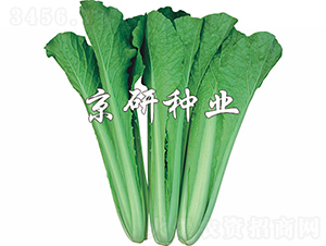 �ļ����1̖-�ײ˷N��-���зN�I(y��)