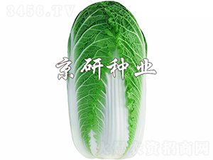 ������3̖-�ײ˷N��-���зN�I(y��)