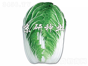 ������2̖-�ײ˷N��-���зN�I(y��)