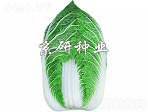 �����S2̖-�ײ˷N��-���зN�I(y��)