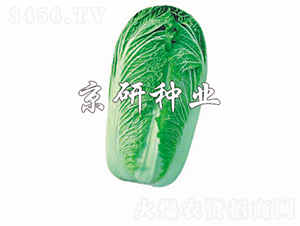 CR������3̖-�ײ˷N��-���зN�I(y��)