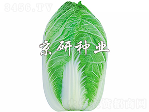 ����CR2-�ײ˷N��-���зN�I(y��)