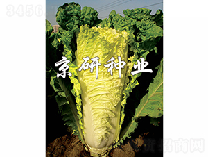 ������56̖-�ײ˷N��-���зN�I(y��)