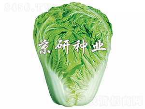 С�s60̖-�ײ˷N��-���зN�I(y��)