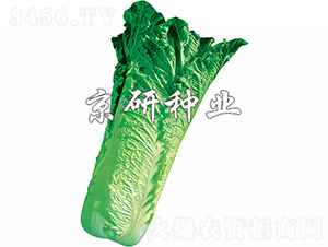 ����70̖-�ײ˷N��-���зN�I(y��)