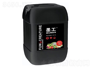 ΢�������-ī��-��(f��)������