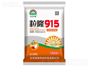 ��¡915-���׷N��-����¡