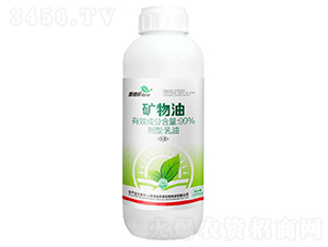 �V����-�x���� 