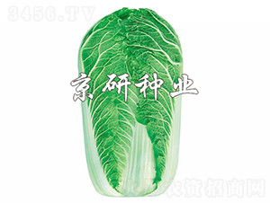 ����5̖-�ײ˷N��-���зN�I(y��)