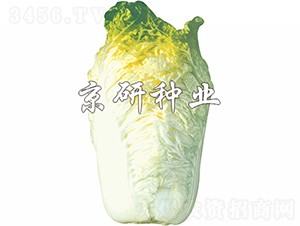 ����56̖(h��o)-�ײ˷N��-���зN�I(y��)