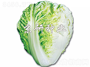 ������-�ײ˷N��-���зN�I(y��)