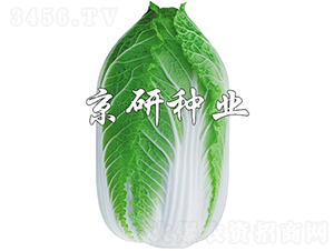 �����S3̖-�ײ˷N��-���зN�I(y��)