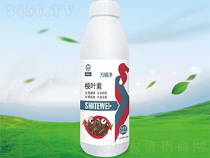 ���~��-�f����-ʩ����