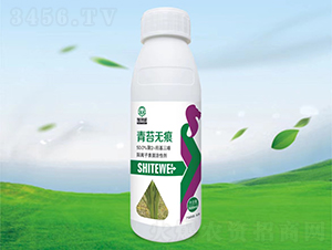 ��̦�o��-ʩ����