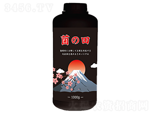 �M(j��n)�ھ��N-������-������