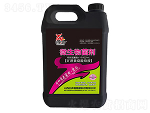 ΢�������-������-��N�ЙC(j��)��