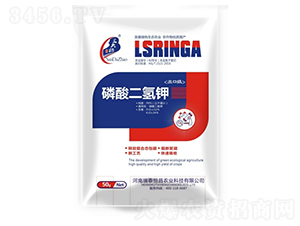 ��������-��̩���