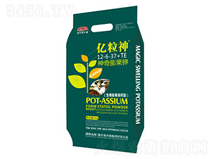 �������⛣�����������}�ͣ�12-6-37+TE-�|����-(li��n)�r(n��ng)���S��