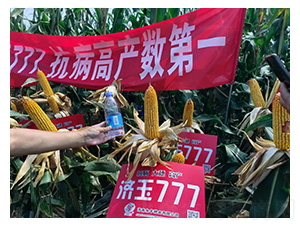 ��(j��)��777-�͹��S