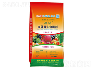 ����΢�������-���Z-ꖹ⻯��