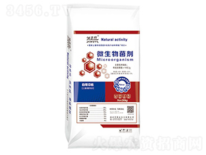 ΢�������-������-ꖹ⻯��