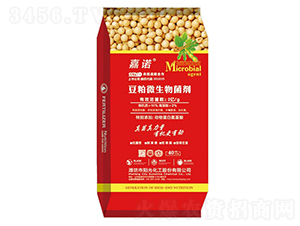 ����΢���������2�|�����-���Z-ꖹ⻯��