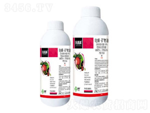 40%�}�����V��������-�s��M-���՘�