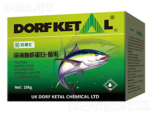 ��~�r���ס��~��-����P��