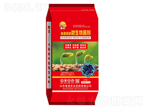 �����̼΢�������-�İ��r(n��ng)�I(y��)